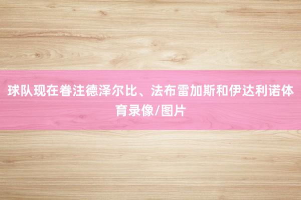 球队现在眷注德泽尔比、法布雷加斯和伊达利诺体育录像/图片