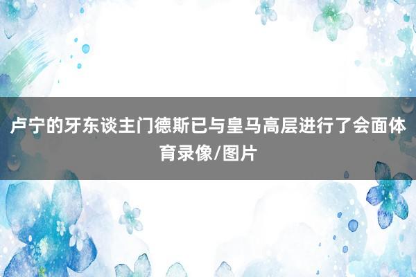 卢宁的牙东谈主门德斯已与皇马高层进行了会面体育录像/图片