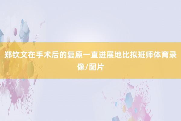 郑钦文在手术后的复原一直进展地比拟班师体育录像/图片