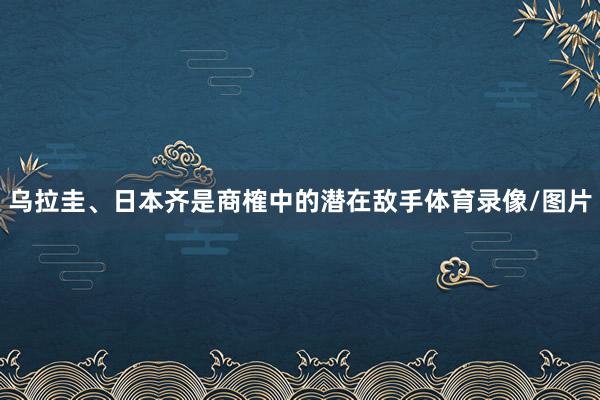 乌拉圭、日本齐是商榷中的潜在敌手体育录像/图片